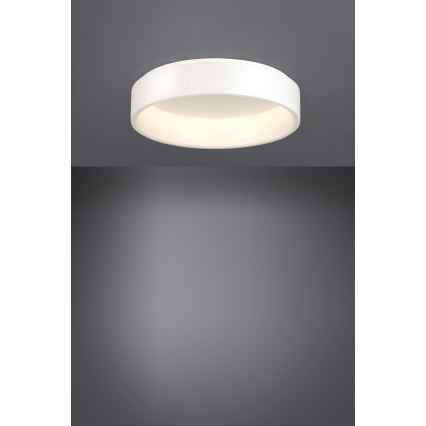 Eglo - LED Stmievateľné stropné svietidlo 1 LED/35,2W/230V