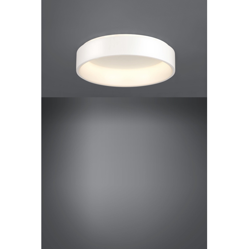Eglo - LED Stmievateľné stropné svietidlo 1 LED/35,2W/230V