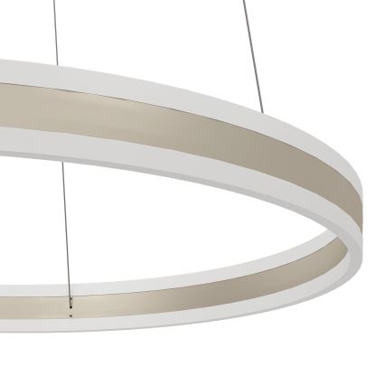 Eglo - LED Stmievateľný luster na lanku LED/78W/230V