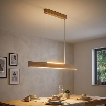 Eglo 39344 - LED závesné svietidlo na lanku CLIMENE LED/17W/230V + LED/4,2W dub