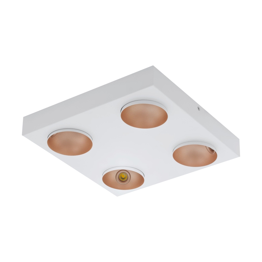 Eglo - LED Stmievateľné stropné svietidlo 4xLED/3,3W/230V