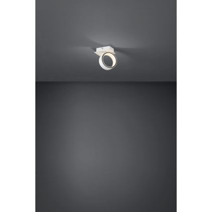 Eglo - LED Bodové svietidlo LED/4,6W/230V 3000K