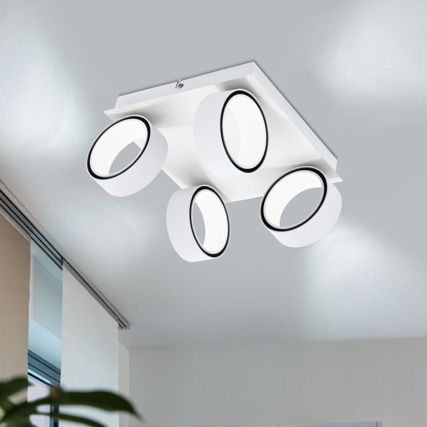 Eglo 39587 - LED Bodové svietidlo ALBARIZA 4xLED/4,6W/230V