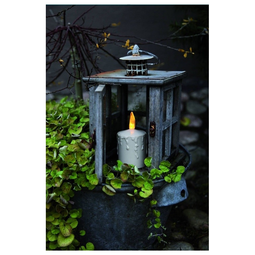 Sviečka s LED svetlom horí v drevenej lucerne. Lucerne stojí v kvetináči s popínavou zeleňou.