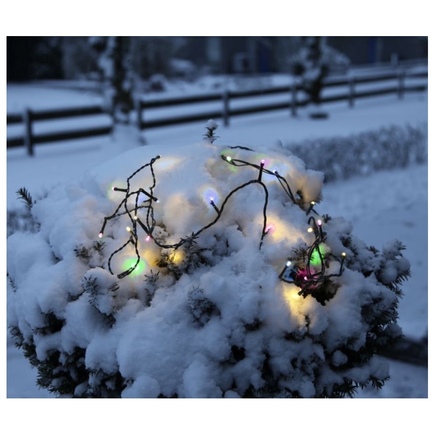 Svetlená reťaz s farebnými LED diódami je omotaná okolo ihličnatého kríka pokrytého snehom. Krík sa nachádza vonku, v zasneženej krajine s dreveným plotom v pozadí.