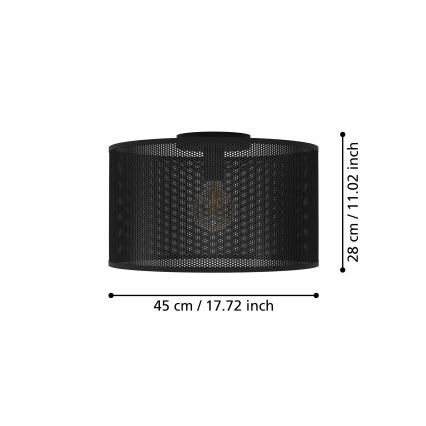Eglo - Stropné svietidlo 1xE27/40W/230V