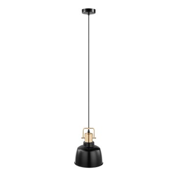 Eglo 49692 - Závesné svietidlo BODMIN na lanku 1xE27/60W/230V