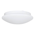 Eglo 68317 - Kúpeľňové stropné svietidlo ELLA PROJEKT 1xE27/20W/230V IP44 priemer 30 cm
