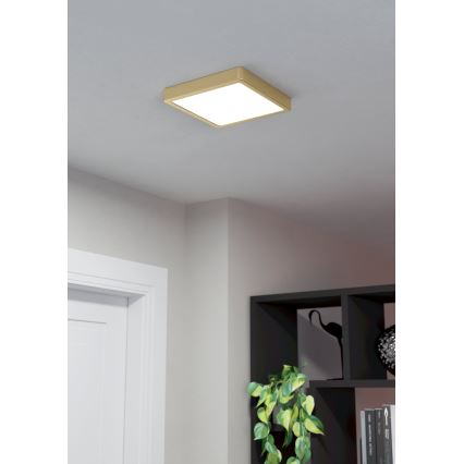 Eglo - LED Stropné svietidlo LED/17W/230V