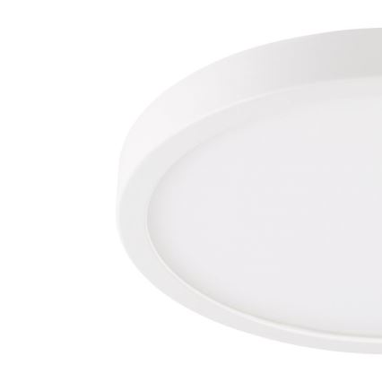 Eglo - LED Kúpeľňové stropné svietidlo LED/20,5W/230V IP44 biela