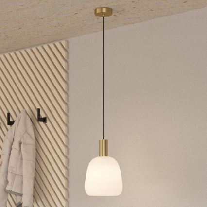 Eglo - Luster na lanku 1xE27/40W/230V