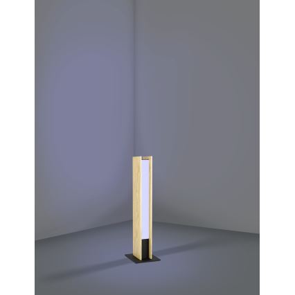 Eglo - LED RGBW Stmievateľná stolná lampa LED/16W/230V 2700-6500K