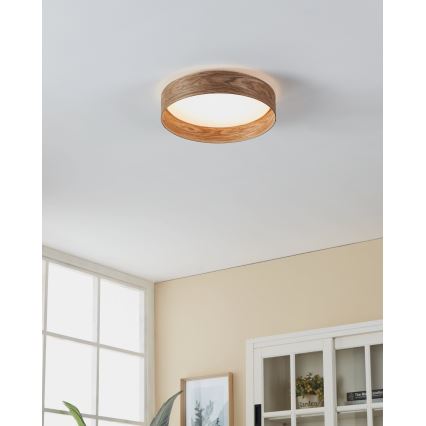 Eglo - LED Stropné svietidlo LED/24W/230V