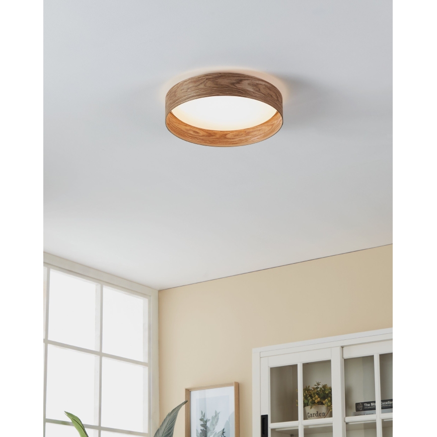 Eglo - LED Stropné svietidlo LED/24W/230V