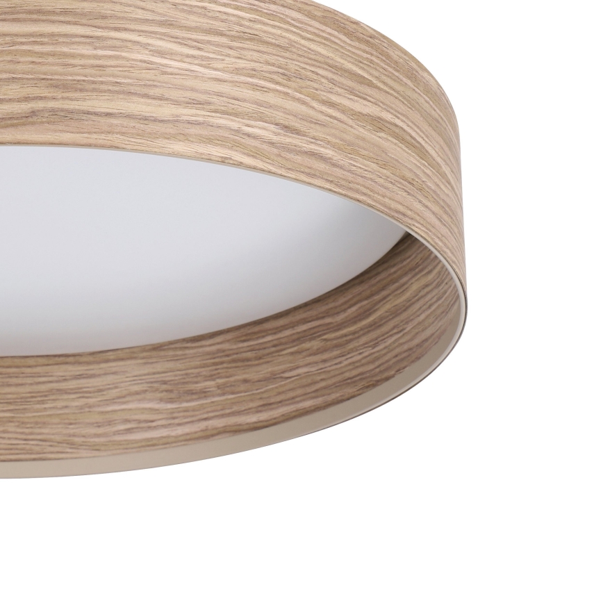 Eglo - LED Stropné svietidlo LED/24W/230V