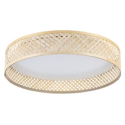 Eglo - LED Stropné svietidlo LED/24W/230V