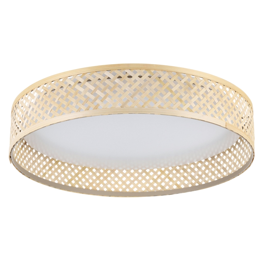 Eglo - LED Stropné svietidlo LED/24W/230V