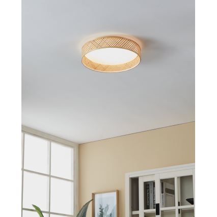 Eglo - LED Stropné svietidlo LED/24W/230V