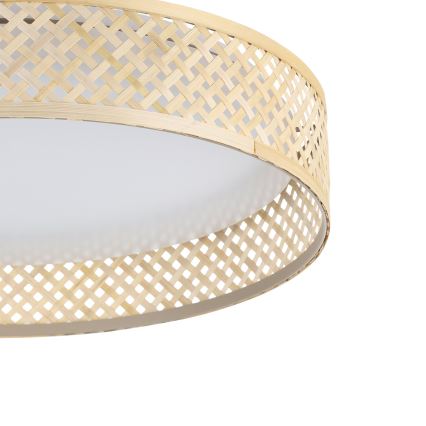 Eglo - LED Stropné svietidlo LED/24W/230V