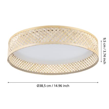 Eglo - LED Stropné svietidlo LED/24W/230V
