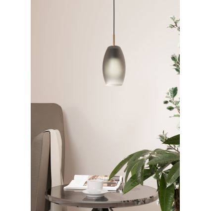 Eglo - Luster na lanku 1xE27/40W/230V