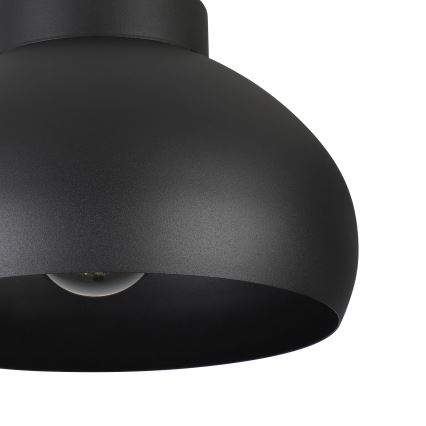 Eglo - Stropné svietidlo 1xE27/40W/230V čierna