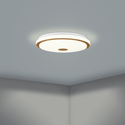 Eglo - LED Stmievateľné stropné svietidlo LED/24W/230V + diaľkové ovládanie