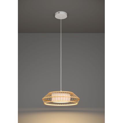 Eglo - LED RGBW Stmievateľný luster na lanku LED/22W/230V 2700-6500K