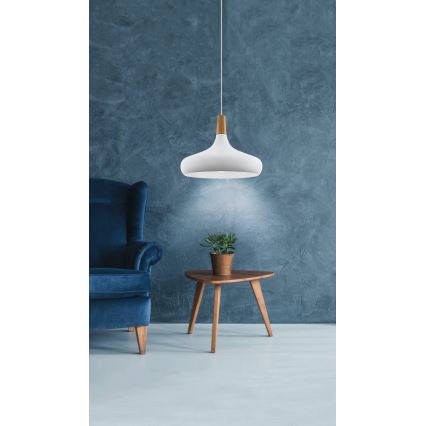 Eglo - Závesný luster na lane 1×E27/40W/230V, priemer 40 cm, biela