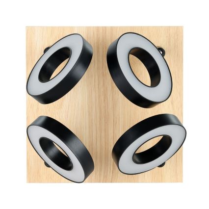 Eglo - LED bodové svietidlo 4xLED/4,2W/230V čierna/hnedá