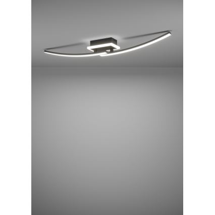 Eglo - LED Stropné svietidlo LED/12W/230V 4000K čierna