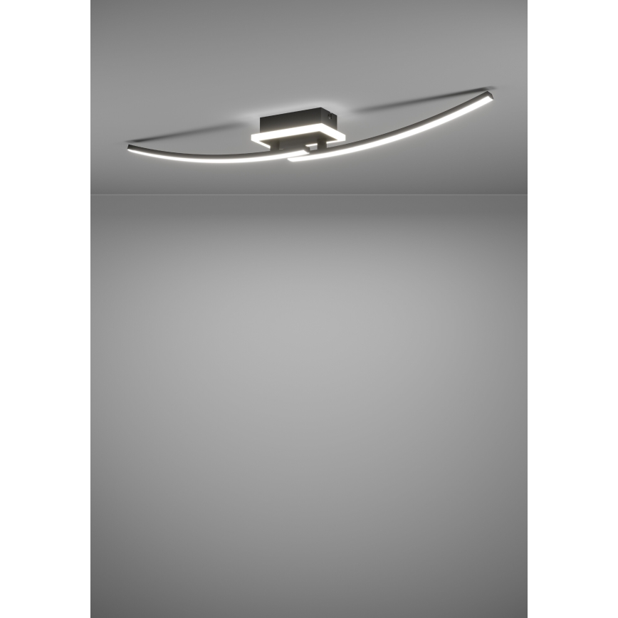 Eglo - LED Stropné svietidlo LED/12W/230V 4000K čierna
