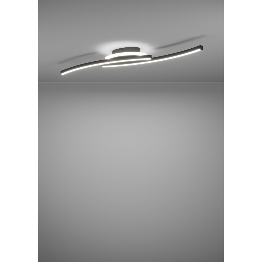 Eglo - LED Stropné svietidlo LED/12W/230V 4000K čierna