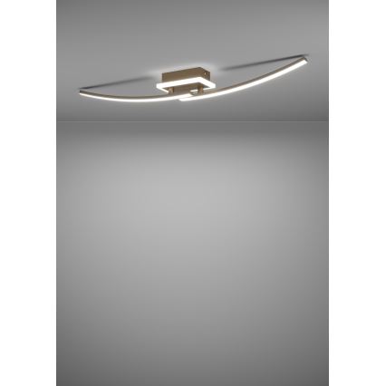 Eglo - LED Stropné svietidlo LED/12W/230V 4000K medená