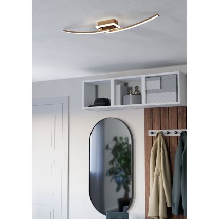 Eglo - LED Stropné svietidlo LED/12W/230V 4000K medená