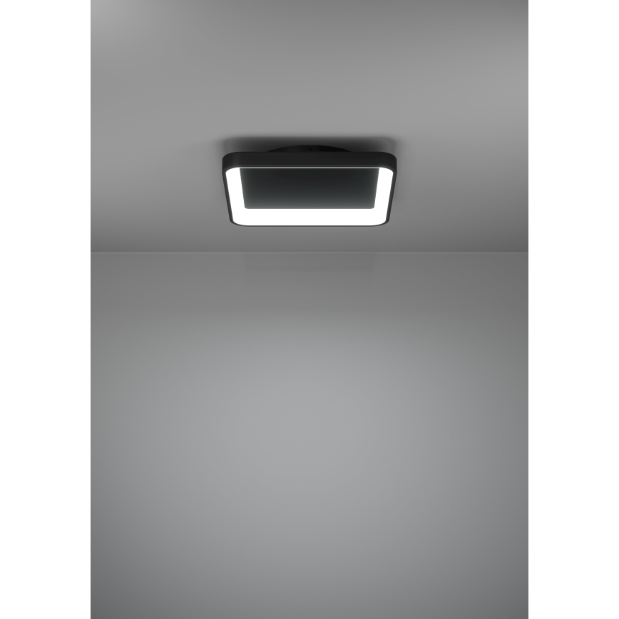 Eglo - LED Stmievateľné stropné svietidlo LED/12W/230V 2700-6500K čierna + diaľkové ovládanie