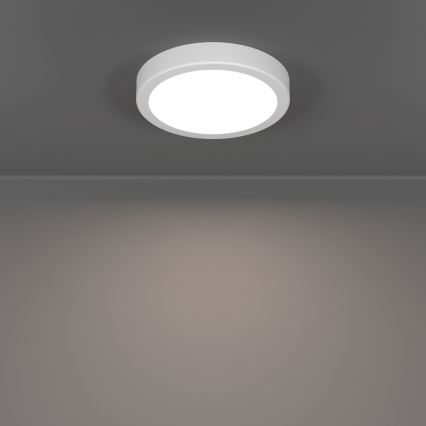 Eglo - LED stropné svietidlo LED/7,5W/230V 2700/4000/6500K pr. 16,6 cm biela