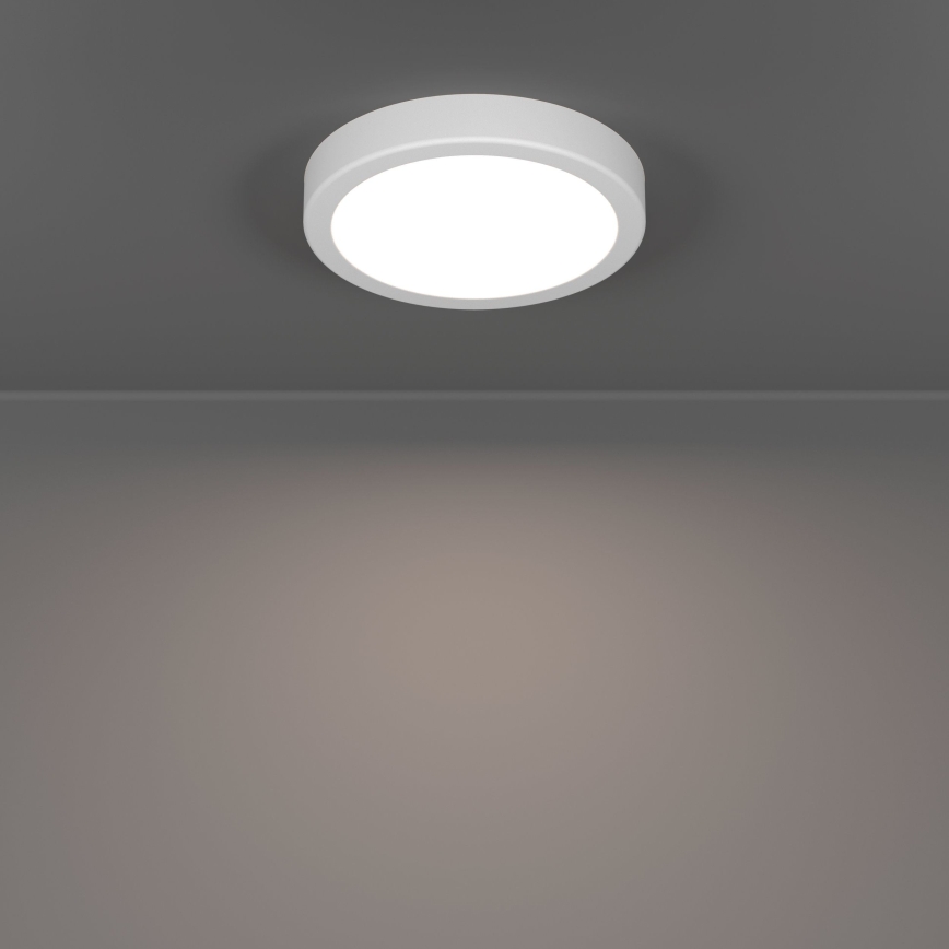 Eglo - LED stropné svietidlo LED/7,5W/230V 2700/4000/6500K pr. 16,6 cm biela