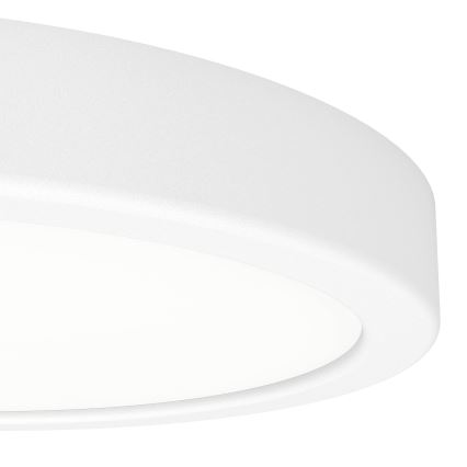 Eglo - LED stropné svietidlo LED/11,5W/230V 2700/4000/6500K pr. 21,1 cm biele