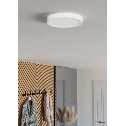Eglo - LED stropné svietidlo LED/11,5W/230V 2700/4000/6500K pr. 21,1 cm biele