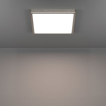 Eglo - LED stropné svietidlo LED/13W/230V 2700/4000/6500K 29x29 cm matný chróm