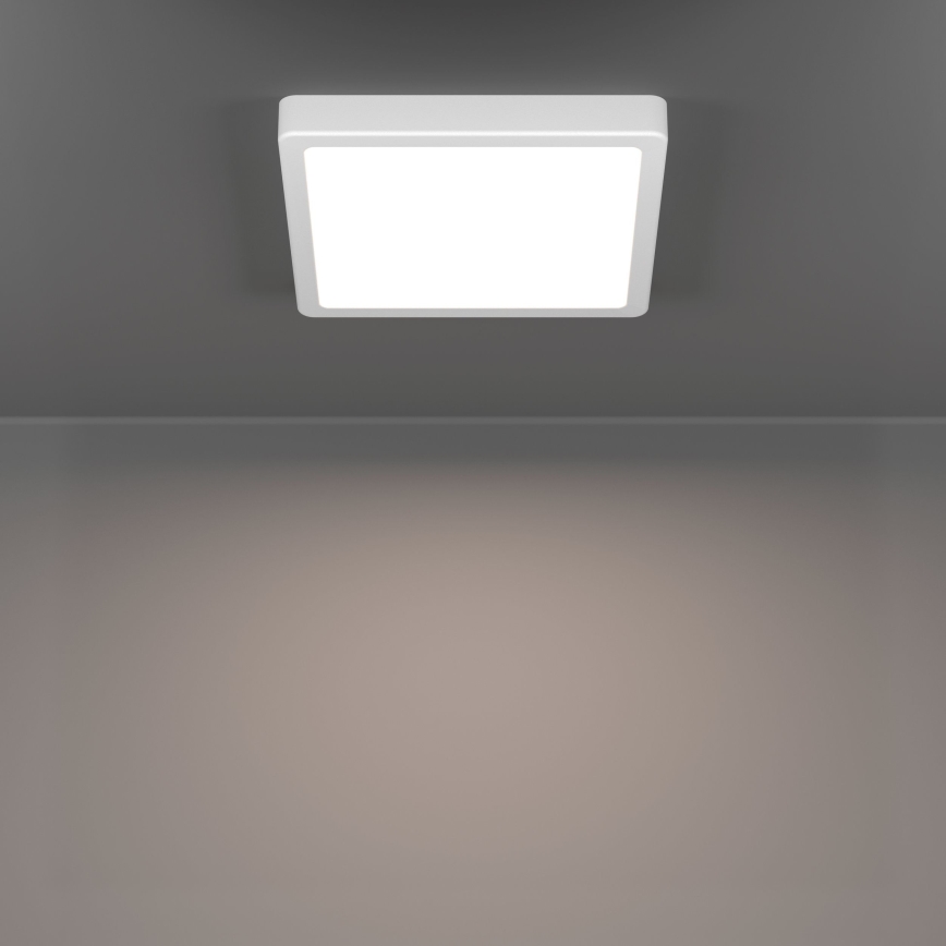 Eglo - LED kúpeľňové stropné svietidlo LED/10,5W/230V 2700/4000/6500K 22x22 cm IP44 biele
