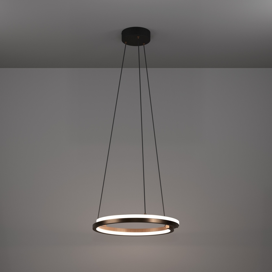 Eglo - LED stmievateľný luster na lanku, 2×LED/20 W/230 V, 2700–6500 K, priemer 48 cm, bronzový + diaľkové ovládanie