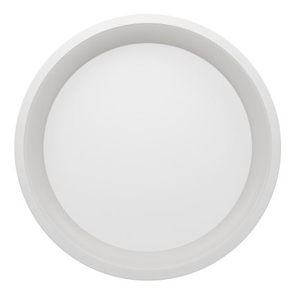 Eglo - LED RGBW stmievateľné stropné svietidlo, LED 19,6 W, 230 V, 2700–6500 K, priemer 35 cm, biela