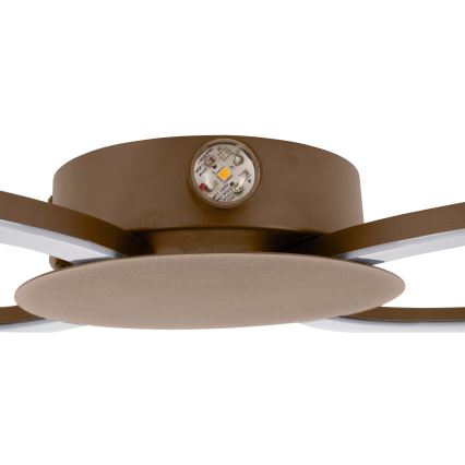 Eglo - LED nástenné svietidlo LED/20W/230V + LED/0,91W béžové