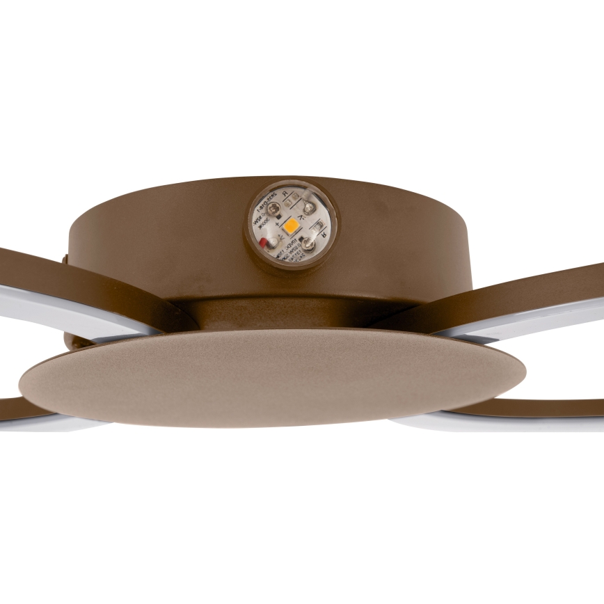 Eglo - LED nástenné svietidlo LED/20W/230V + LED/0,91W béžové