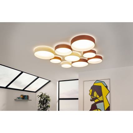 Eglo - LED stropné svietidlo LED/24W/230V