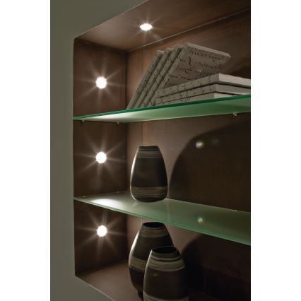 Dve sklenené police v tmavohnedej niky obsahujú vázy a knihy. Na vrchnej polici sú knihy s nečitateľným textom. Spodná polica obsahuje tri tmavé vázy s pruhovaným vzorom. Nika je osvetlená vstavanými bodovými svetlami.