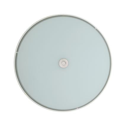 Okrúhle stropné svietidlo s matným svetlosivým difúzorom a strieborným lemom. V strede difúzora je viditeľný malý kovový detail. Svietidlo je zobrazené na bielom pozadí.