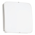 Eglo 95967 - LED stropné svietidlo CUPELLA LED/11W/230V